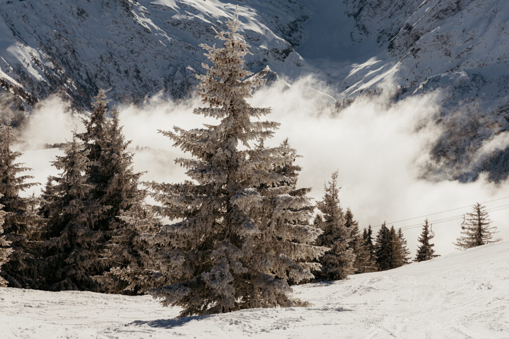 Chamonix Winter